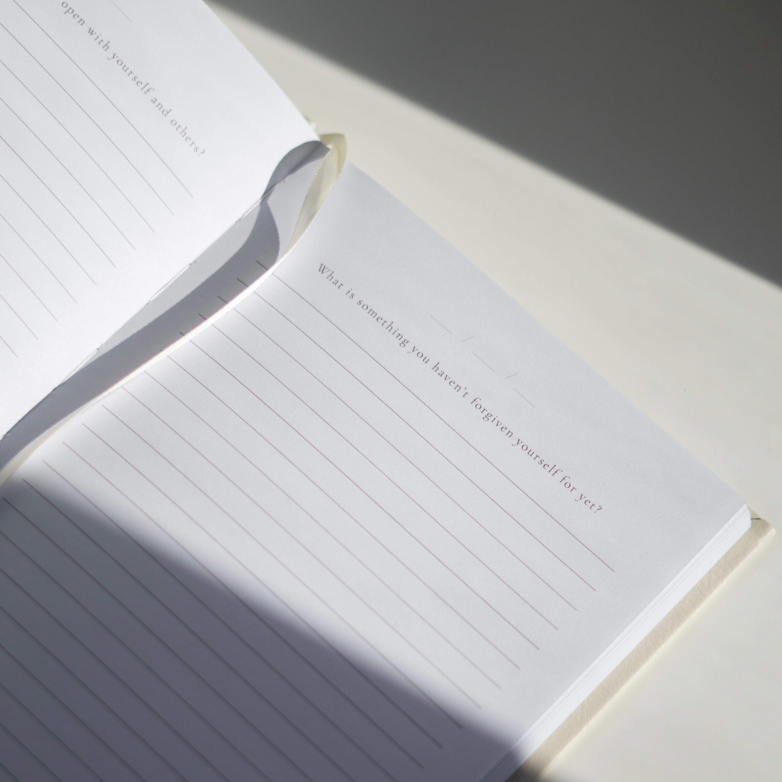 Dig Deeper Journal INSIDE THEN OUT